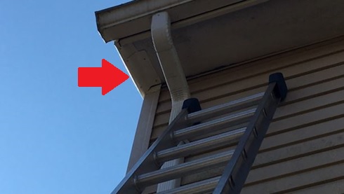 How To Get Rid Of Crows On My Roof